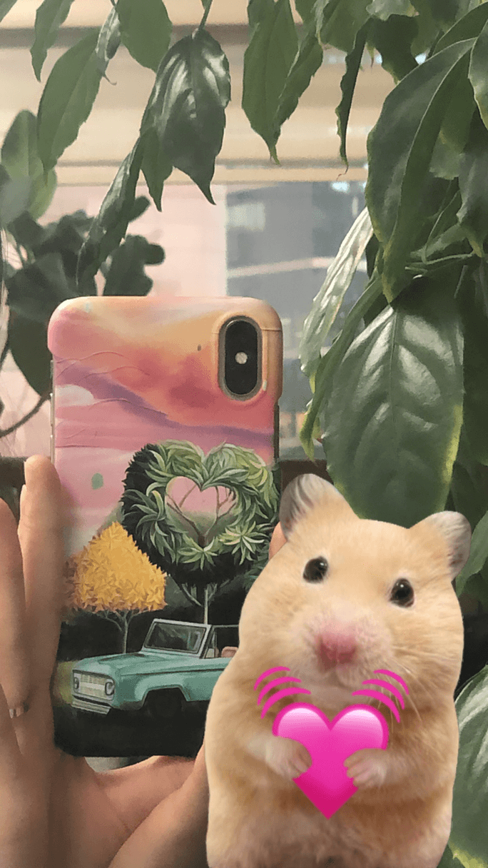 Review thumbnail image