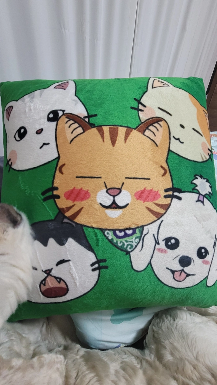 Review thumbnail image