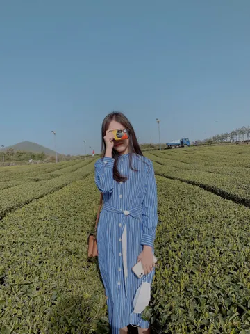 위드러브