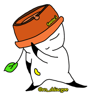 씨아시(seeaci)