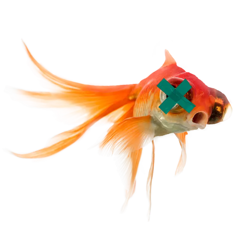 thumbnail_background_img