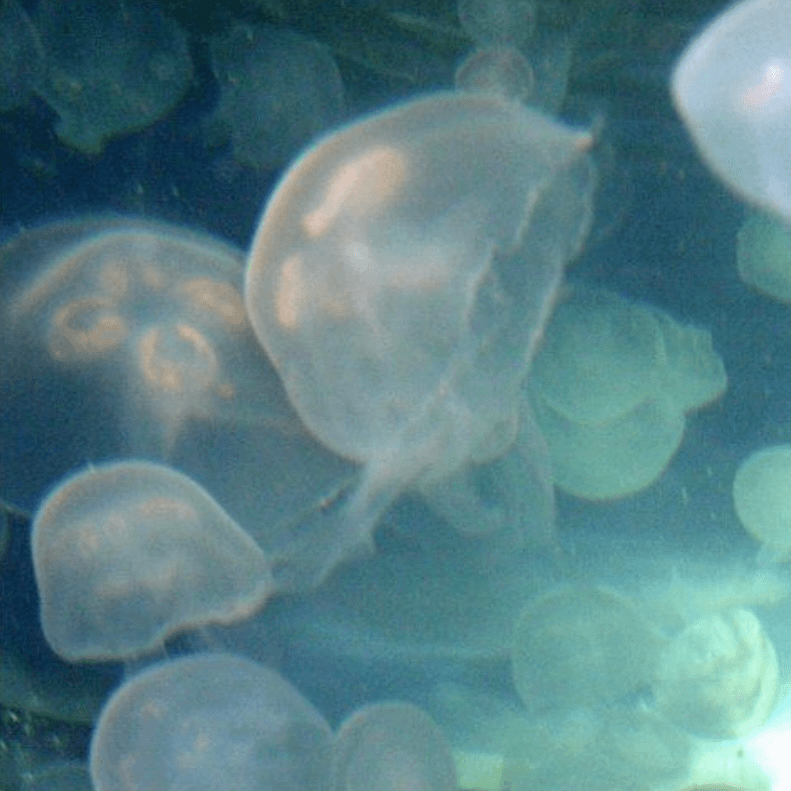 thumbnail_background_img
