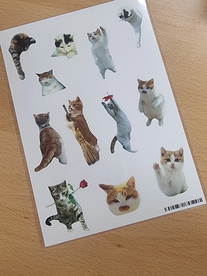 Review thumbnail image