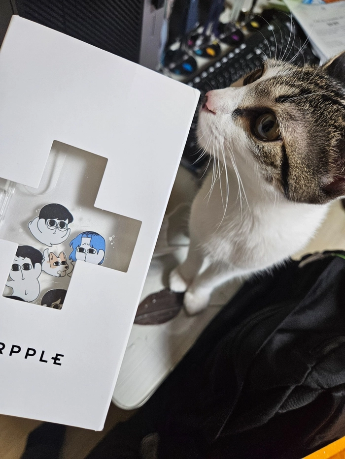 Review thumbnail image