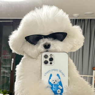 먼지