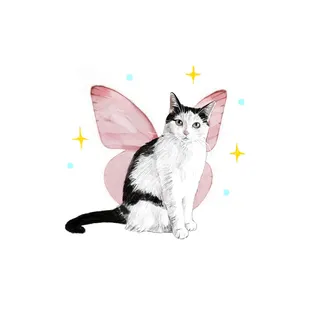 타투이나