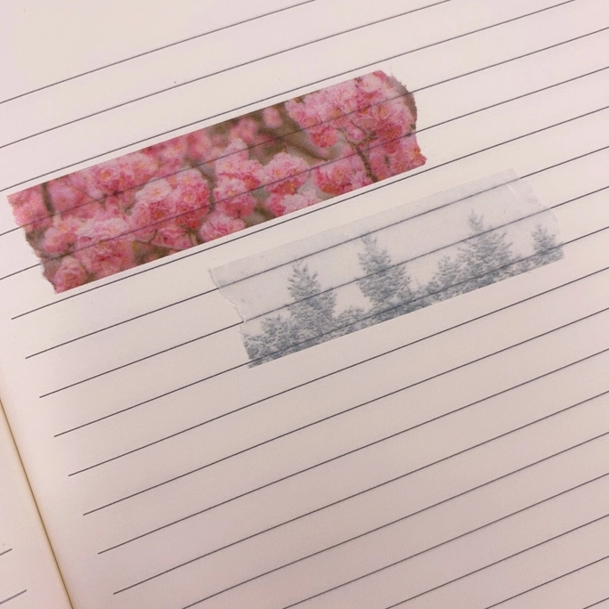 Review thumbnail image