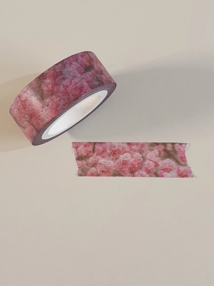 Review thumbnail image