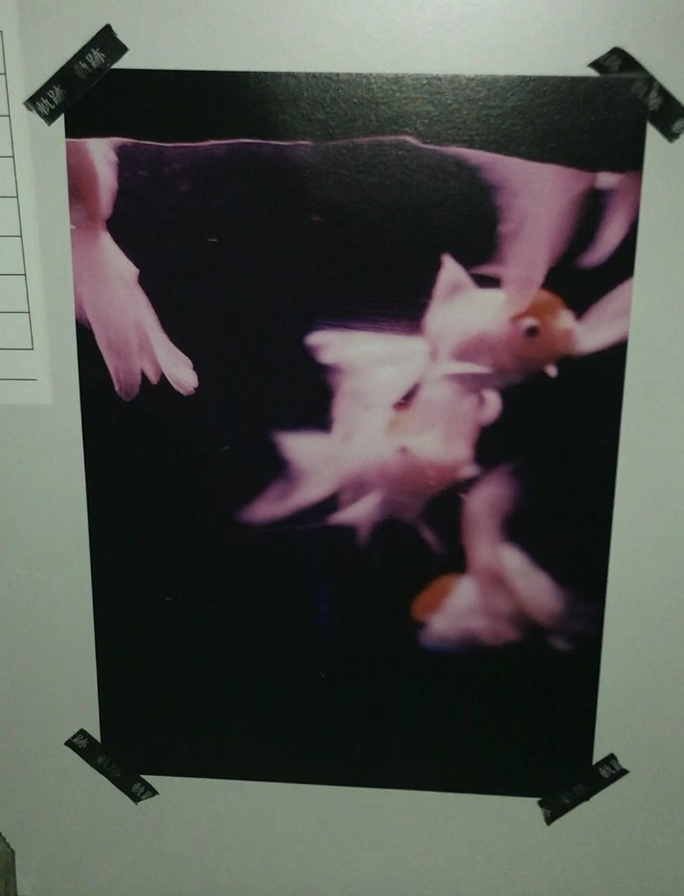 Review thumbnail image
