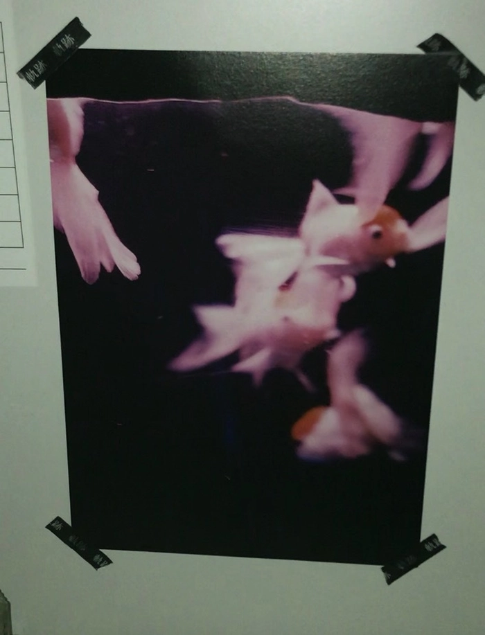 Review thumbnail image