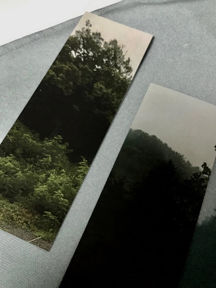 Review thumbnail image