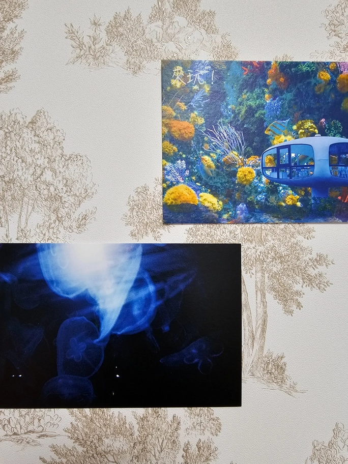 Review thumbnail image