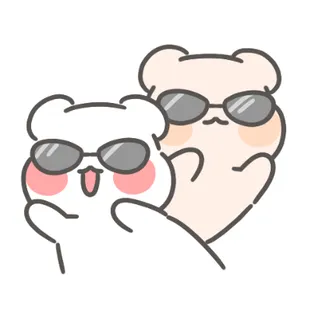 유자씨