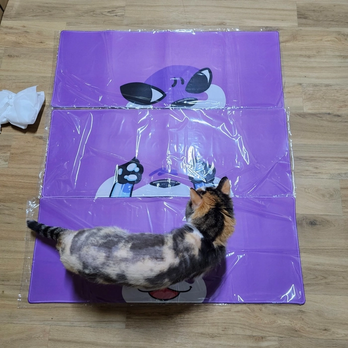 Review thumbnail image