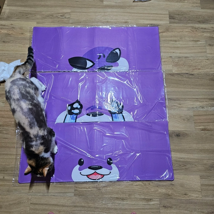 Review thumbnail image
