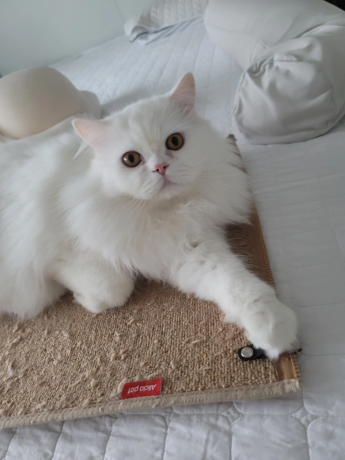 Review thumbnail image