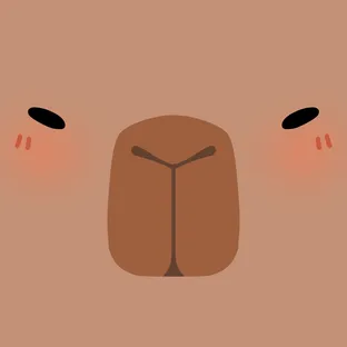 이것좀봐바라
