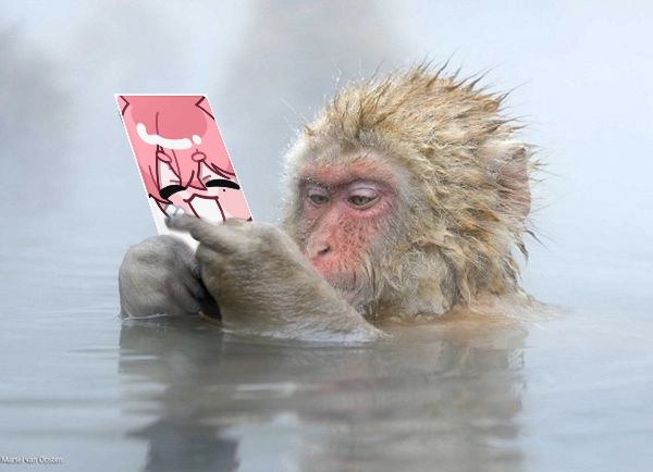 Review thumbnail image