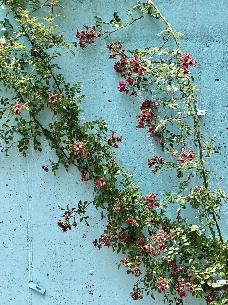 thumbnail_background_img