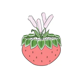 칸로슈
