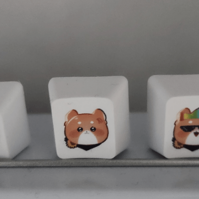 Review thumbnail image