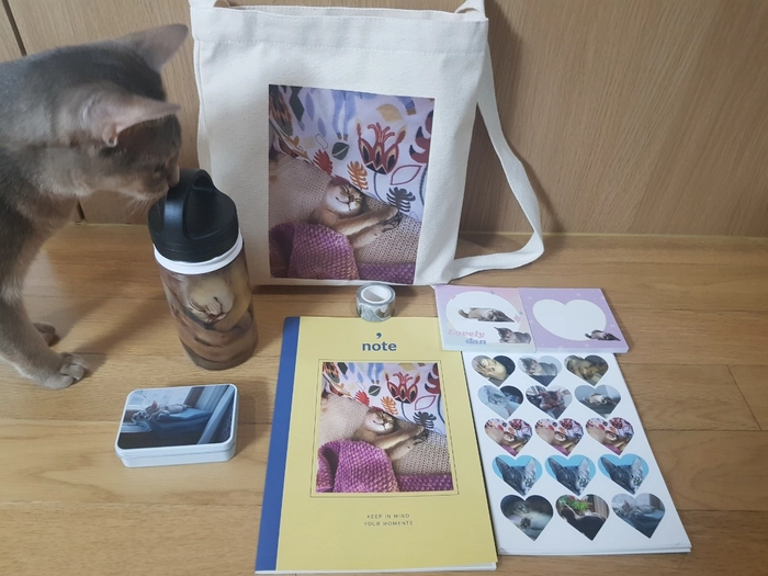 Review thumbnail image