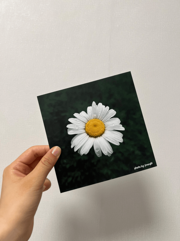 Review thumbnail image