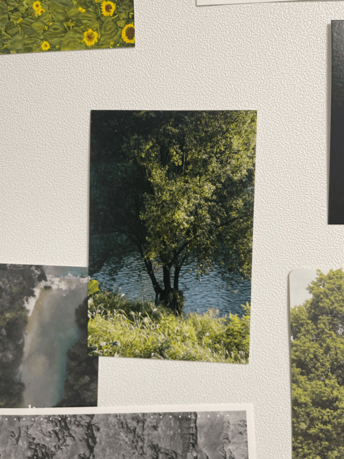 Review thumbnail image