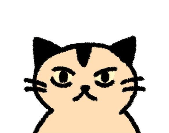 토토고양이
