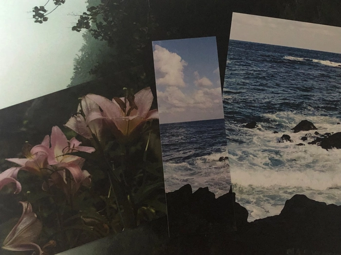 Review thumbnail image
