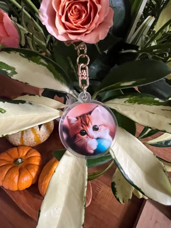 Review thumbnail image