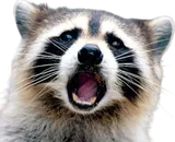 우주정복을 향하여