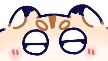 후추팩토리