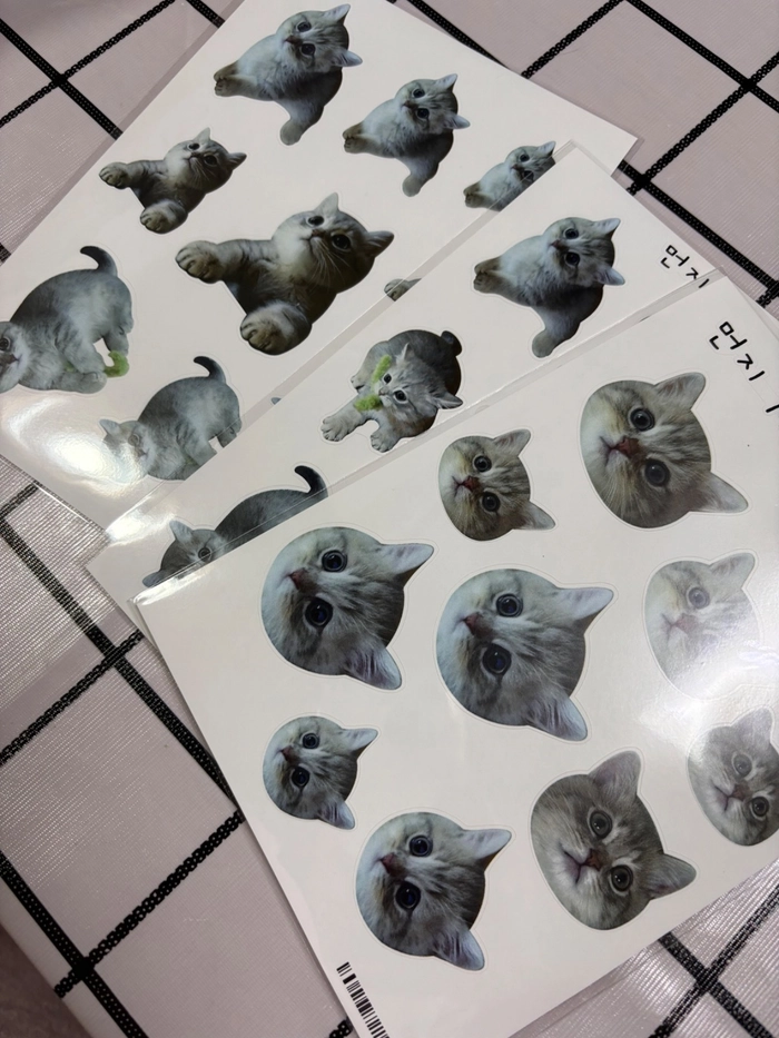 Review thumbnail image