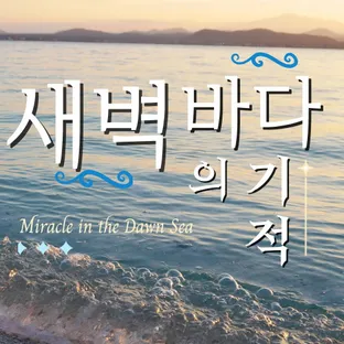 새벽바다의기적