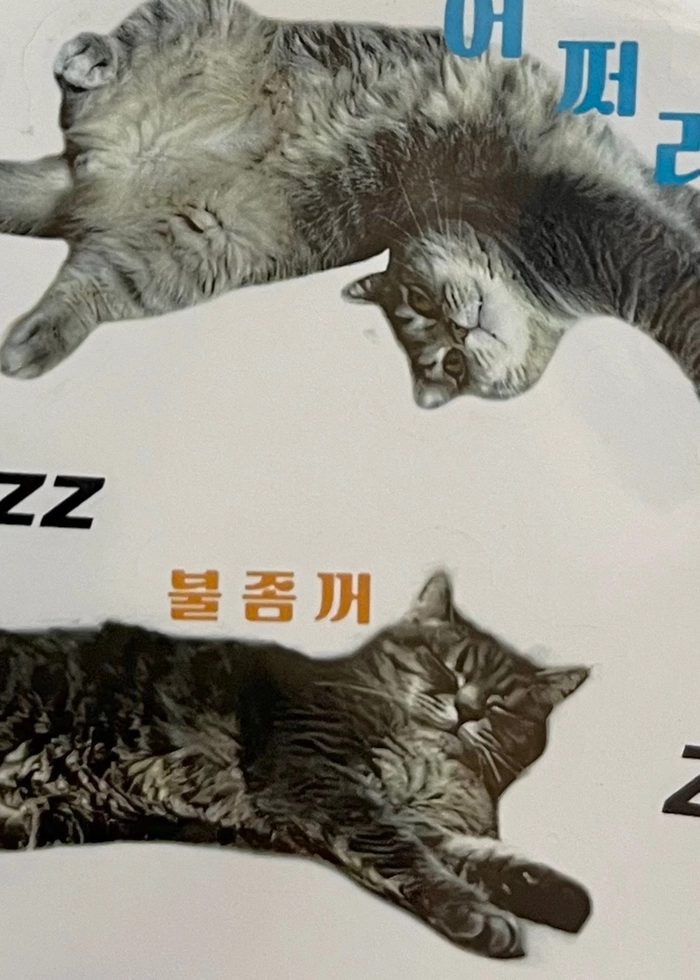 Review thumbnail image