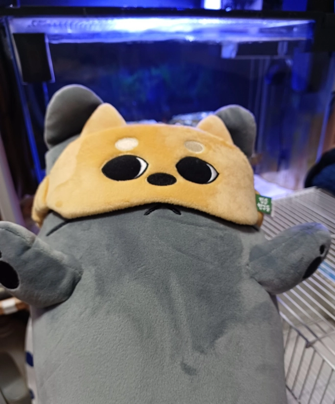 Review thumbnail image