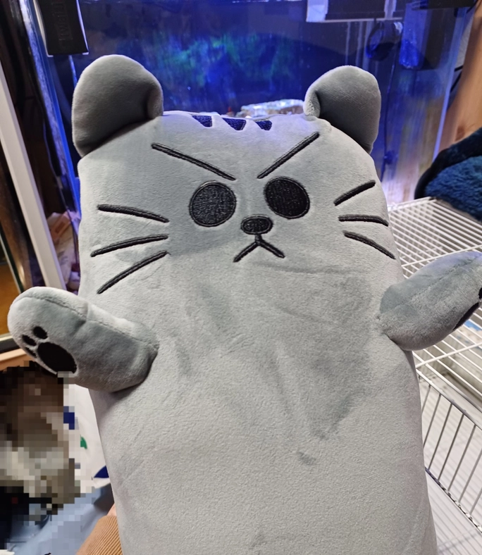 Review thumbnail image
