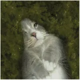 쑥튜디오