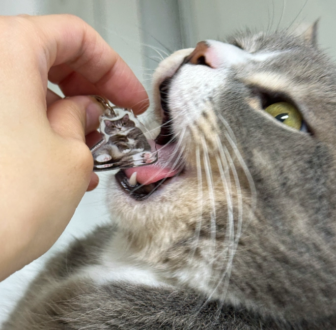 Review thumbnail image