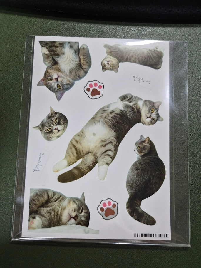 Review thumbnail image