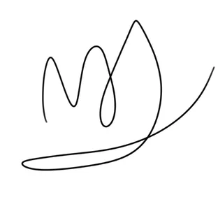 Mook