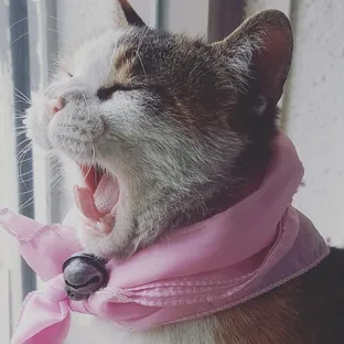 대왕모터스