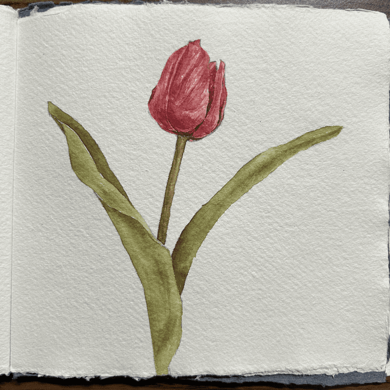 thumbnail_background_img