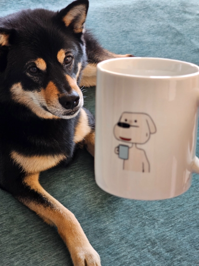 Review thumbnail image