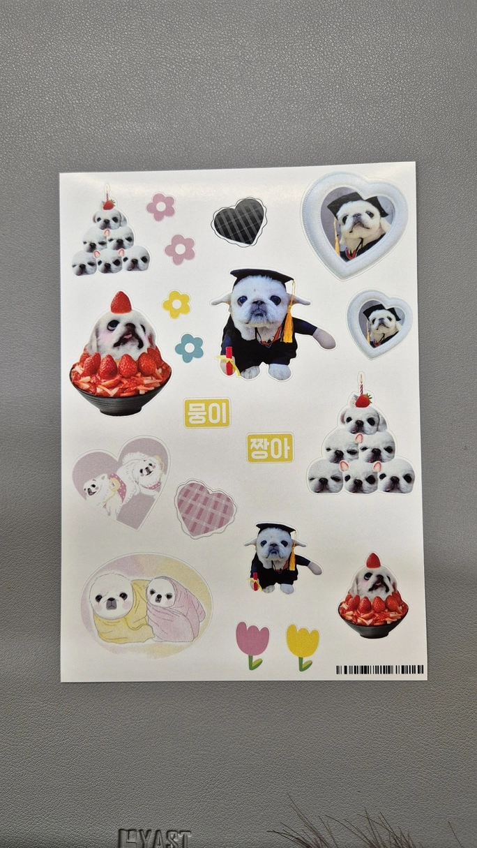 Review thumbnail image
