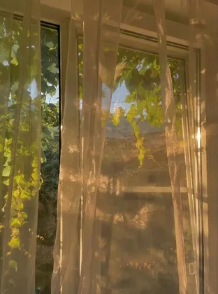 apricity