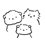 짱아지