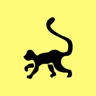 몽키비지엠