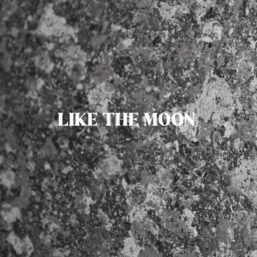 달처럼 like the moon